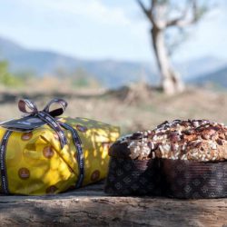 Colomba Fiasconaro