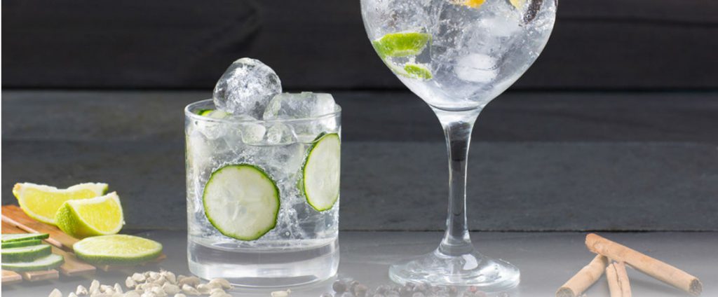 Degustazione Gin