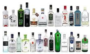 Bottiglie Gin